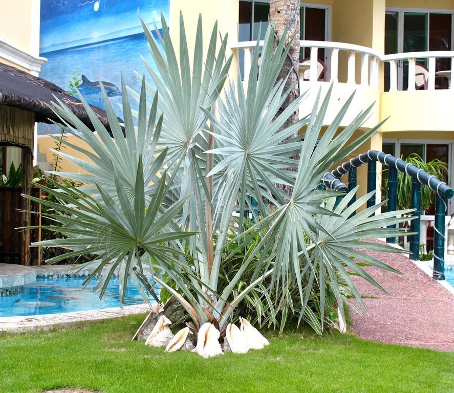 Paradise Bay - & Watersport 3*