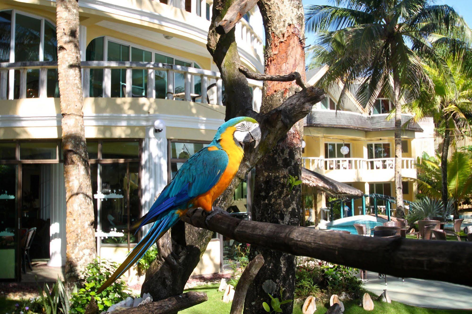 Paradise Bay - & Watersport 3*